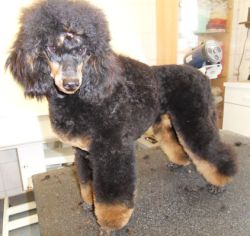 7mo 001